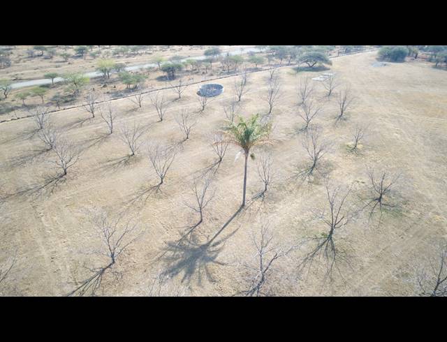 31HA FARM FOR SALE IN WEENEN